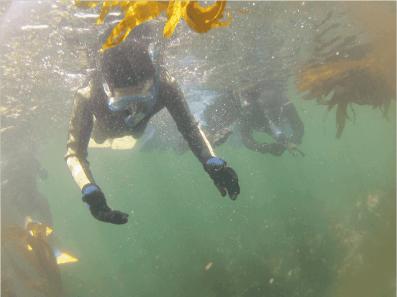 Ensenada: Bahia De Arbolitos Snorkeling Tour With Lunch - Highlights of the Experience