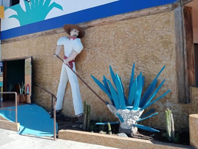 Ensenada: Beach and Bar Experience - Pricing and Value Proposition