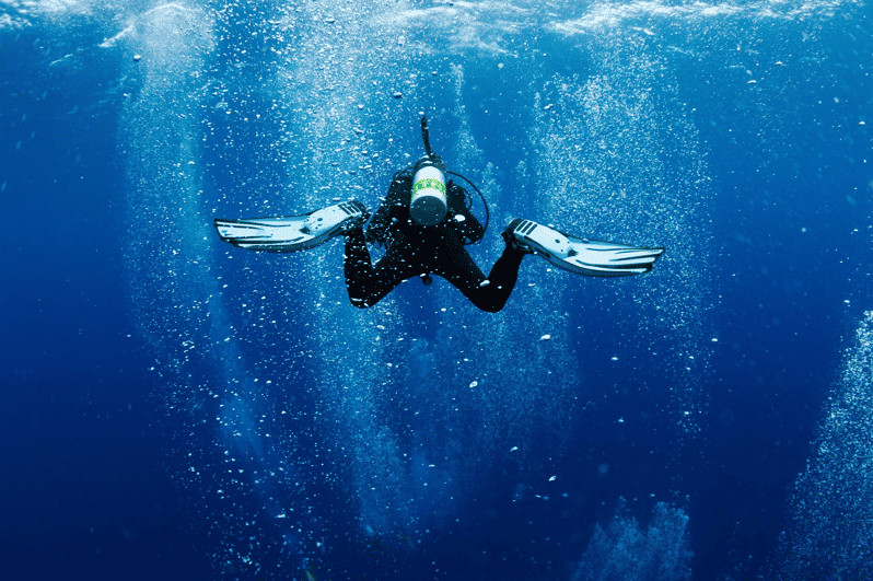 Ensenada: Boat Diving Adventure to Exclusive Sites - Explore Dive Sites