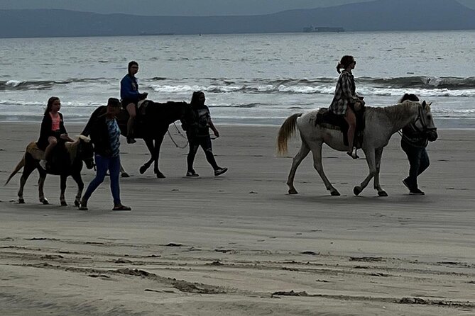 Ensenada City Tour on Ford T Replica and Beach Horse Back Riding - Health and Accessibility