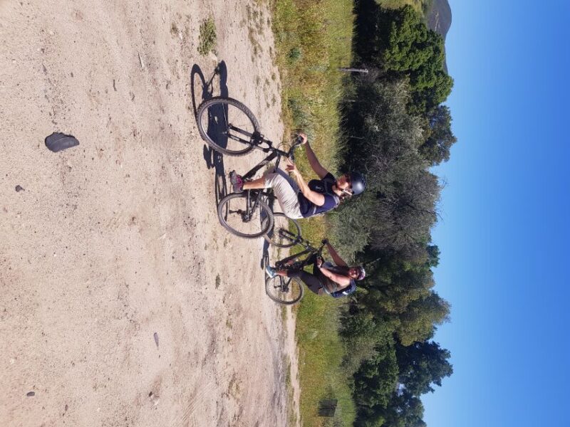Ensenada: Customizable and Private Guided Shore Excursion - Key Points