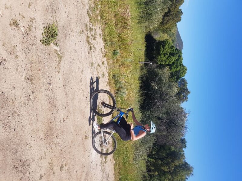 Ensenada: Customizable and Private Guided Shore Excursion - Isolated Beach Picnic