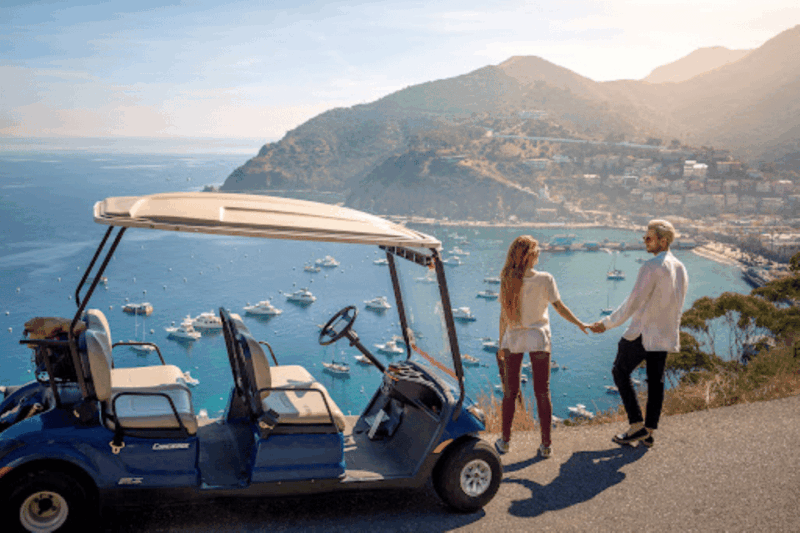 Ensenada: Golf Car Rental - Key Points