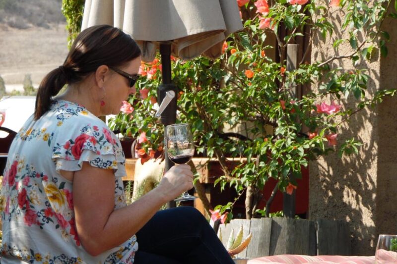 Ensenada: Guadalupe Valley Wine Route Private Tour - Experience Highlights