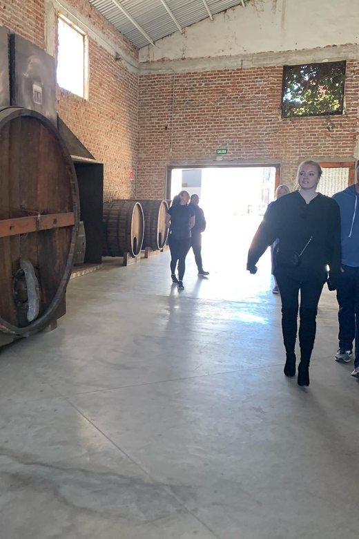 Ensenada: Guided City Highlights Tour With Margarita Tasting - Tour Highlights