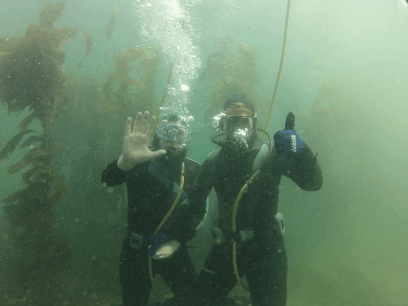 Ensenada: Guided Two-Tank Dive at Arbolitos Dive Park - Key Points