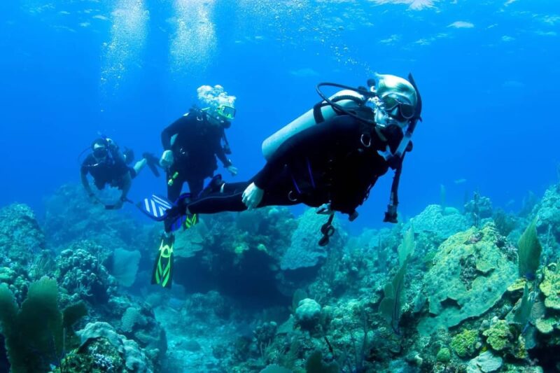 Ensenada: Guided Two-Tank Dive at Arbolitos Dive Park - Diving Experience