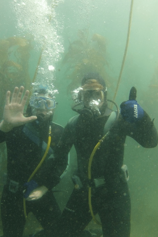 Ensenada: Guided Two-Tank Dive at Arbolitos Dive Park - Included in the Tour