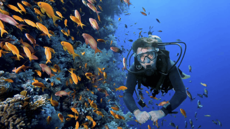 Ensenada: Guided Two-Tank Dive at Arbolitos Dive Park - Preparation and Restrictions