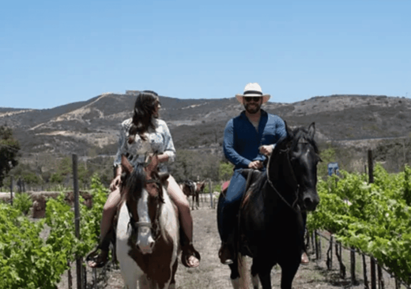 Ensenada: Horseback Riding at the Vineyards - Booking Information