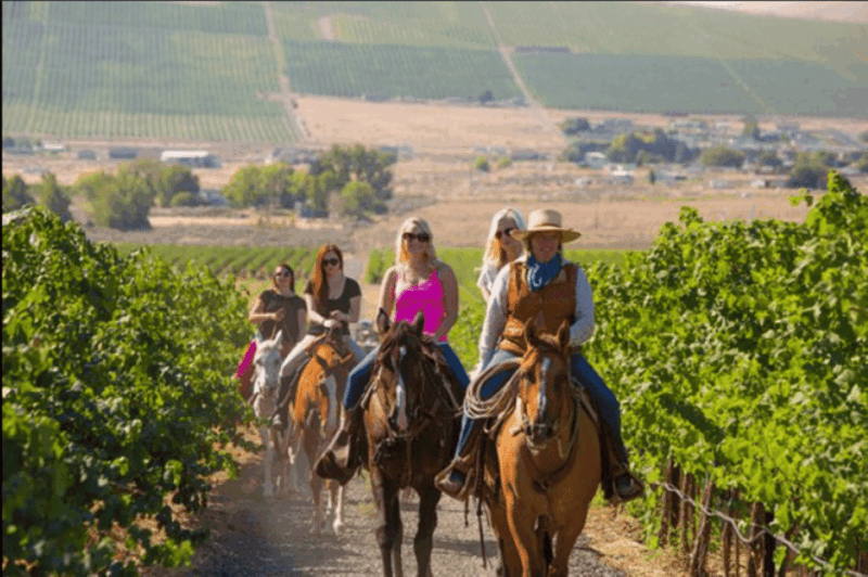 Ensenada: Horseback Riding at the Vineyards - Tour Details