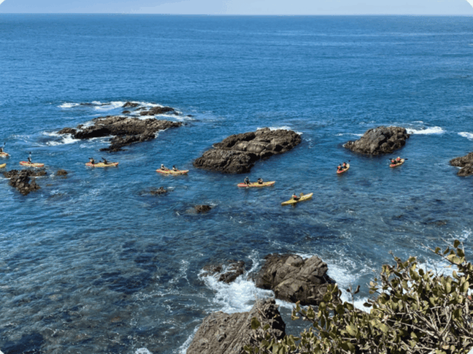 Ensenada: Kayaking at La Bufadora - Drop-off Options After Adventure