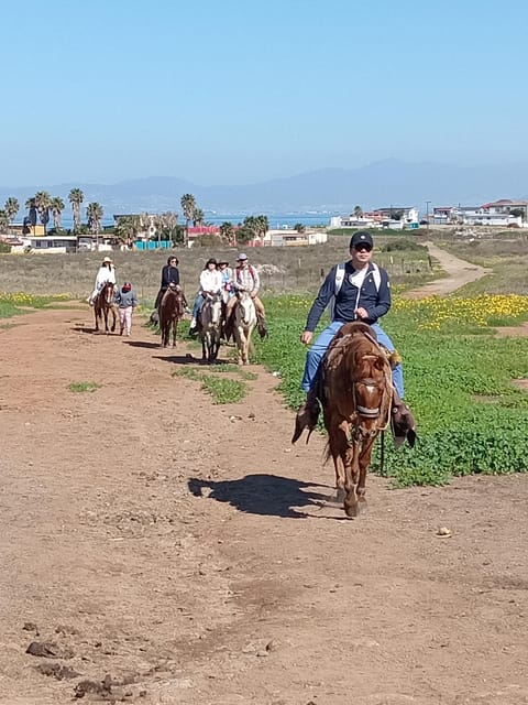 Ensenada: La Bufadora and Playa Hermosa Horseback Riding. - Booking and Availability