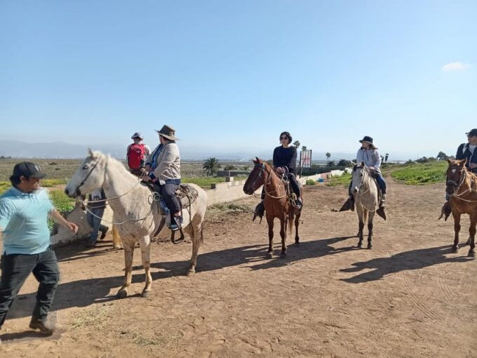 Ensenada: La Bufadora and Playa Hermosa Horseback Riding. - Pickup and Drop-off Locations