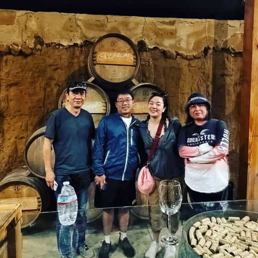 Ensenada: Old Wine Route Tour With 4 Winery Visits - Winery Visits