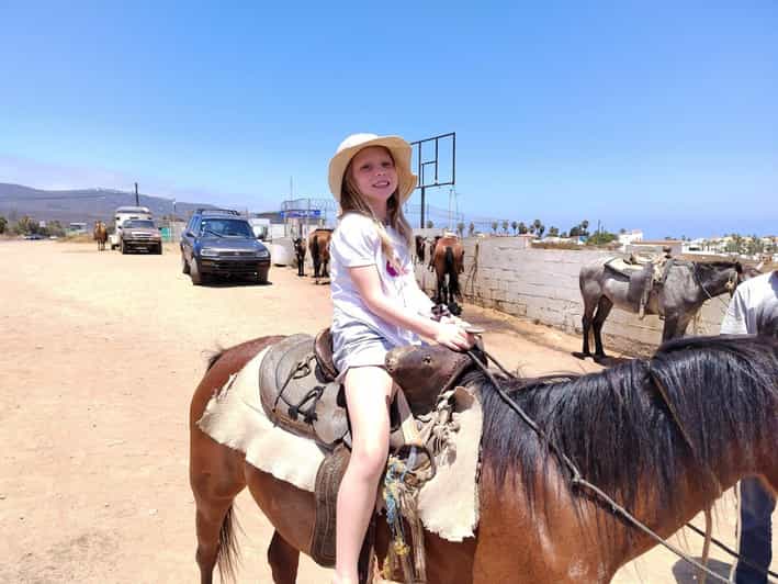 Ensenada: Punta Banda Horseback Riding Tour - Group Size