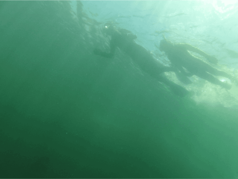 Ensenada: SCUBA Diving Introduction - Inclusions