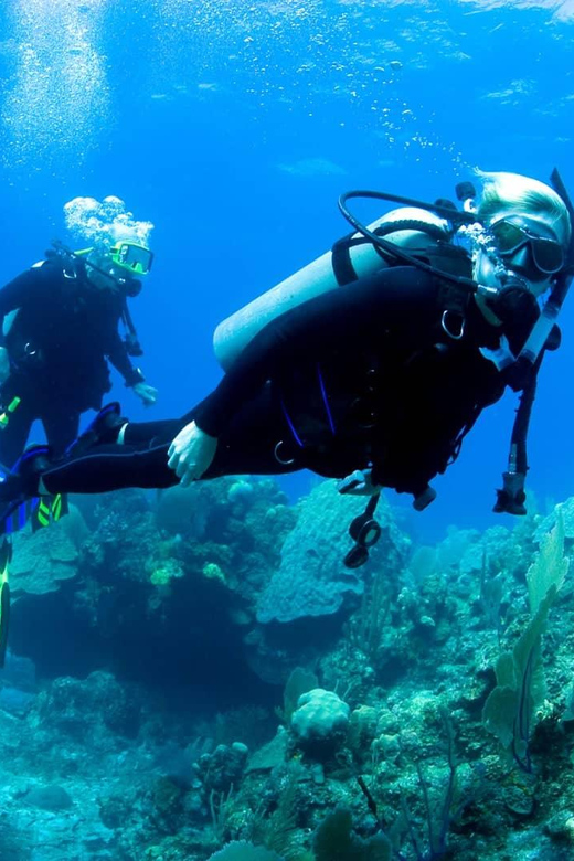 Ensenada: SCUBA Diving Introduction - Participant Requirements