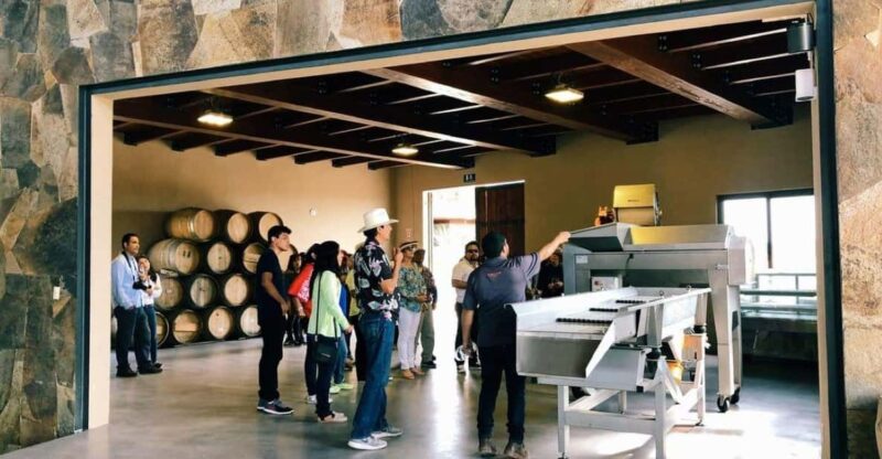 Ensenada: Sensory Wine Tasting With Chocolate - Key Points
