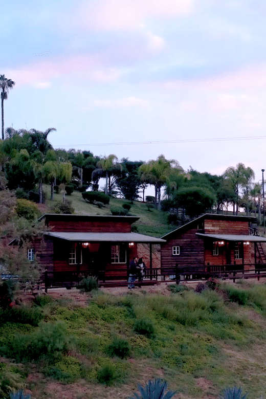 Ensenada: Sensory Wine Tasting With Chocolate - Experience Highlights