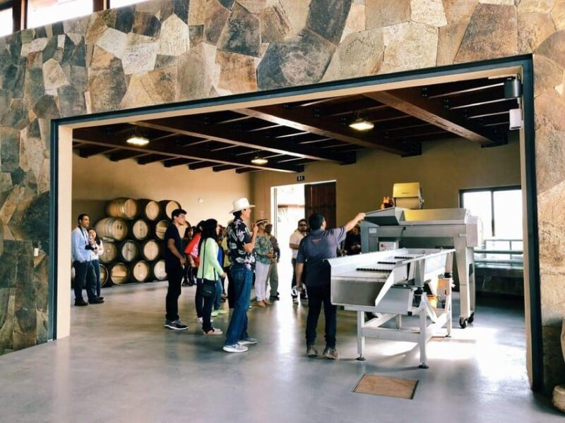 Ensenada: Sensory Wine Tasting With Chocolate - Inclusions