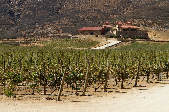 Ensenada Shore Excursion: Entre Santos and El Cielo Winery Tours With Lunch - Booking Tips
