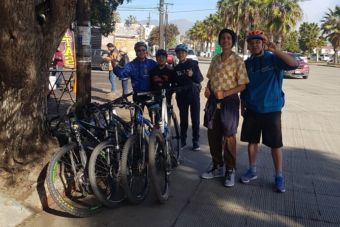 Ensenada Shore Excursion Tacosn Bike Fun Ride - Taco Tasting
