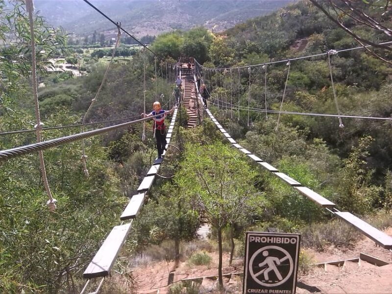 Ensenada: the Cañadas Camp Canopy Tour With Zip Lines - Zip Lines and Suspension Bridges