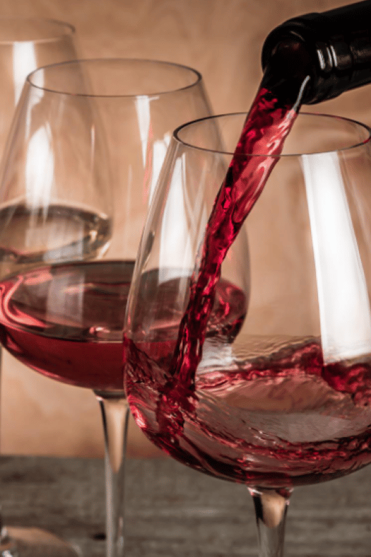 Ensenada: Valle De Guadalupe Wine Tasting Tour - Highlights of the Experience