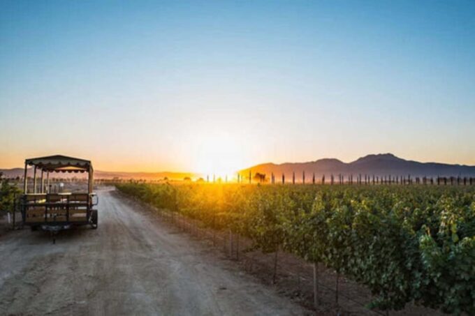 Ensenada: Wine and Chocolate Tasting Tour in Cava - Prohibited Activities