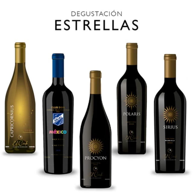 Ensenada: Wine and Chocolate Tasting Tour in Cava - Booking and Cancellation