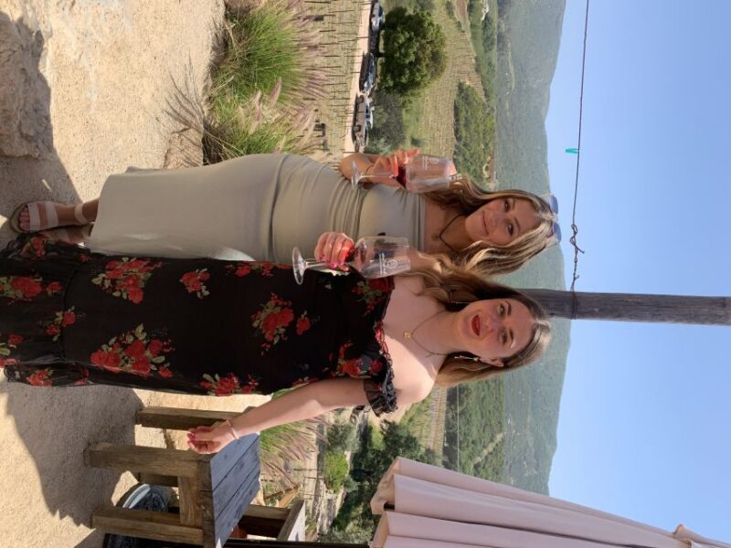 Ensenada: Wine Tasting Tour in Valle De Guadalupe - Highlights and Activities