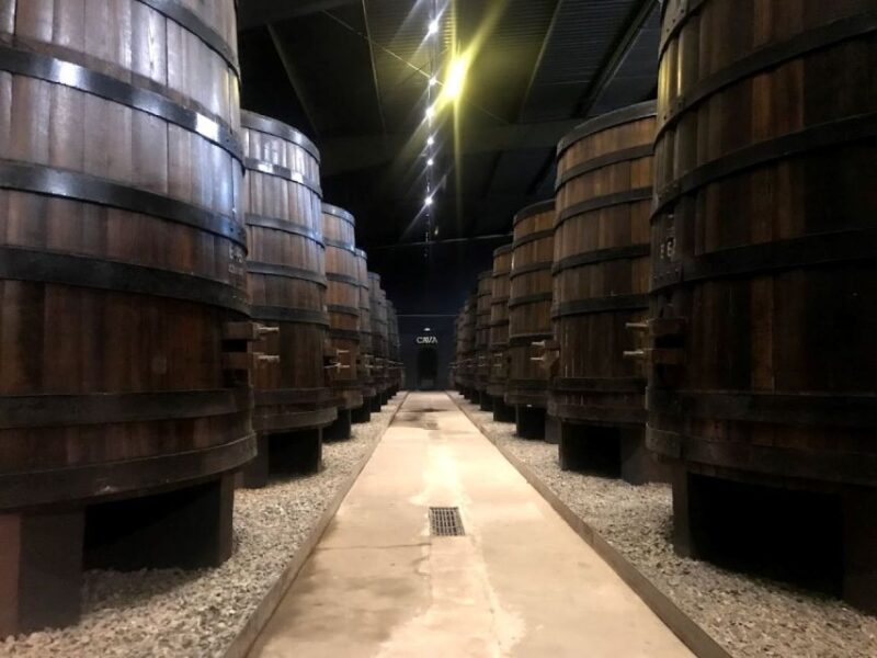 Ensenada: Wine Tasting Tour in Valle De Guadalupe - Participant Information