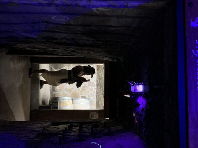 Ensenada: Wine Tasting Tour in Valle De Guadalupe - Transportation Included