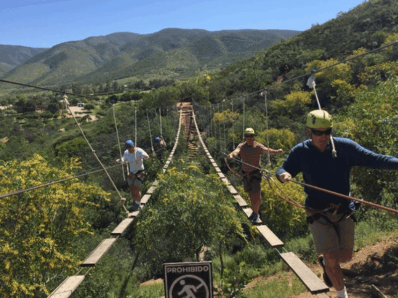 Ensenada: Zipline and Hanging Bridges at Las Cañadas - Thrilling Zip Line Experience