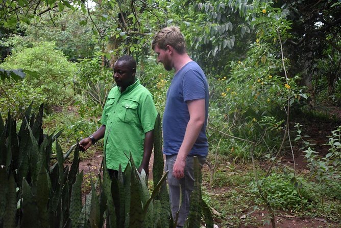 Entebbe Eco Tour - Full Day - Tour Schedule and Accessibility