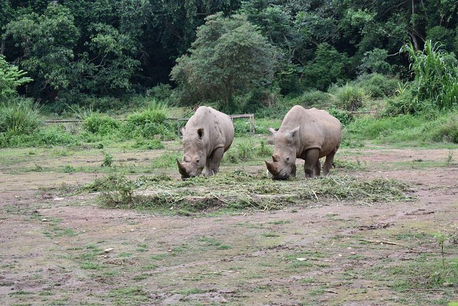 Entebbe Eco Tour - Full Day - Authentic Ugandan Dining Experience