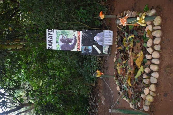 Entebbe Eco Tour - Full Day - Botanical Gardens and Religious History