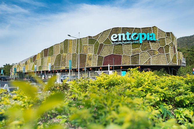 Entopia Butterfly Farm & Tropical Spice Garden Tour - Schedule & Logistics