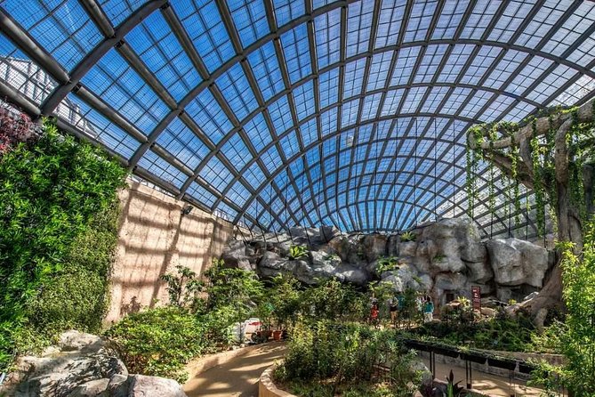 Entopia Butterfly Farm & Tropical Spice Garden Tour - Reviews