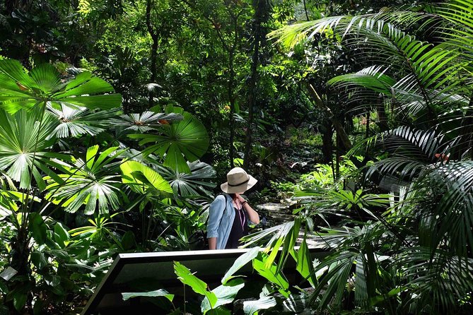 Entopia Butterfly Farm & Tropical Spice Garden Tour - Location and Pricing