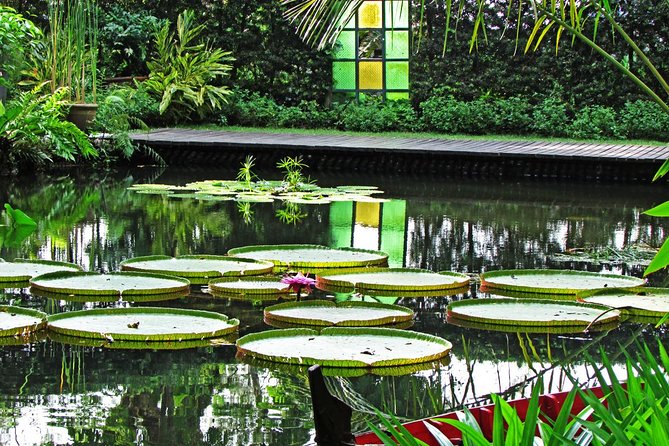 Entopia Butterfly Farm & Tropical Spice Garden Tour - Accessibility and Participation