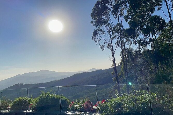 Entoto Mountain From Addis Ababa - Traveler Feedback