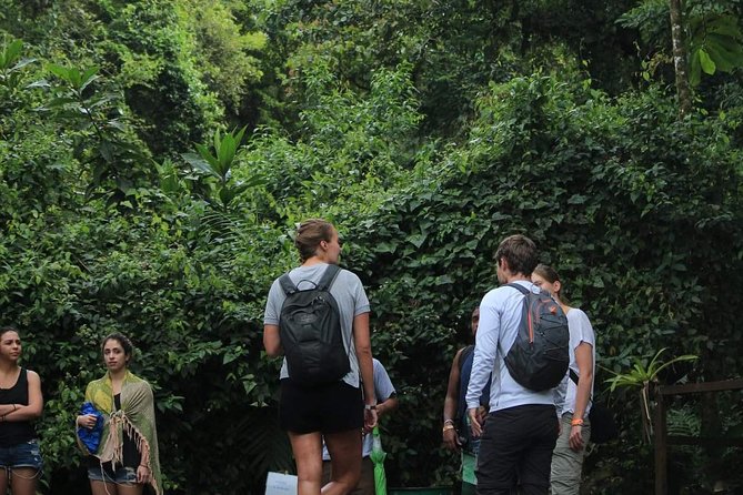 Entrance Fee to Arenal Volcano Ecological Park - Exploring the Park