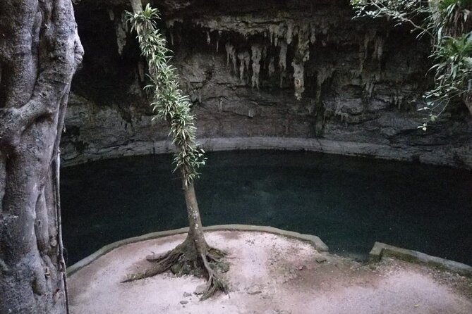 Entrance Fees to Cenote Suytun With Buffet - Accessibility and Requirements