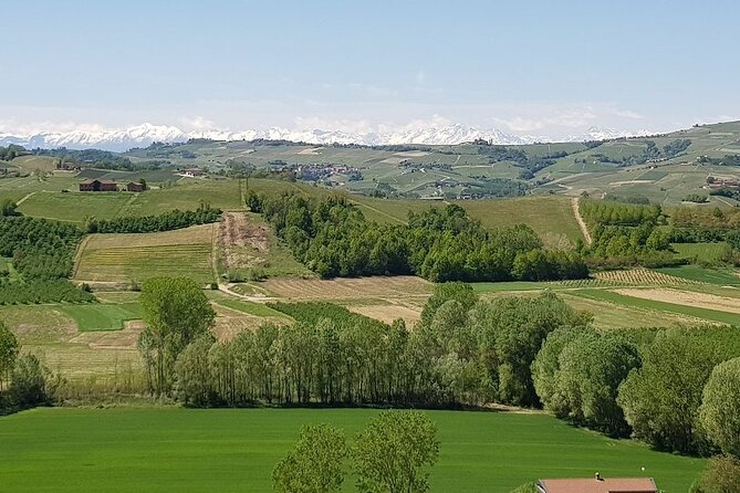Entrance Ticket to the Museo Delle Langhe - Key Points