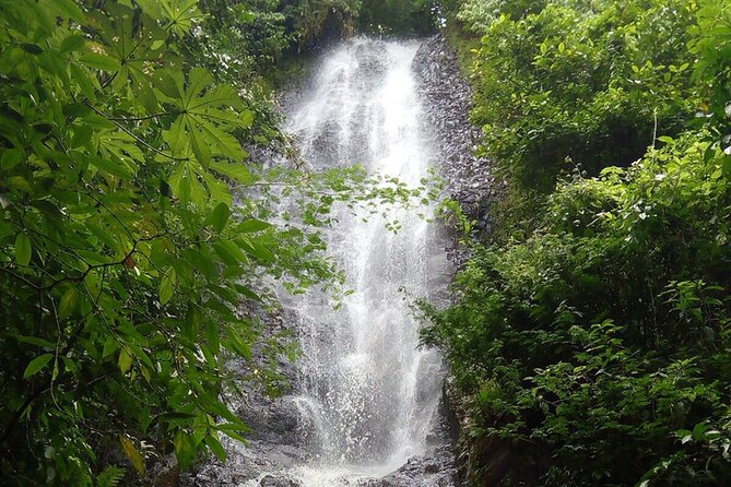 Entrance Ticket to Viva Brotas Ecopark With Lunch - Outdoor Activities and Amenities