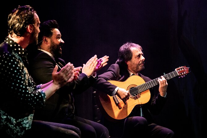 Entrance to the Flamenco Show at Teatro Flamenco Málaga - Accessibility Features
