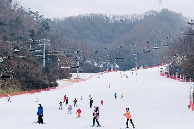 Eobi Ice Valley / Elysian Ski Resort / Nami Island - What Sets This Tour Apart