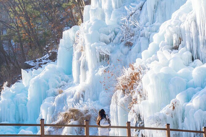 Eobi Valley, Alpaca World, Nami Island, Railbike/Garden fr Seoul - Key Points